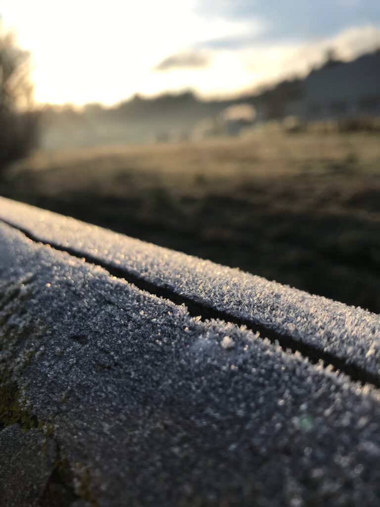 frost